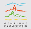 logo-kammerstein-head